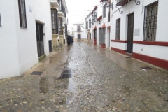 05-IMG_5153