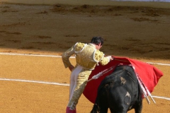 Toros en Marbella