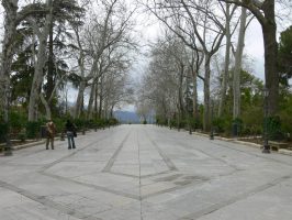 alameda01