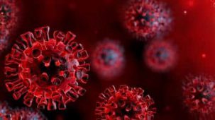 virus virus