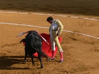 torossmall