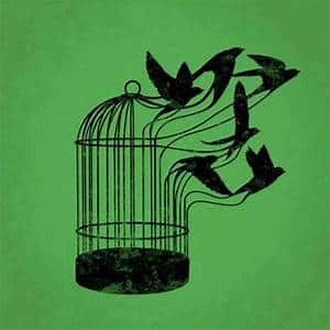 versos libres versos libres