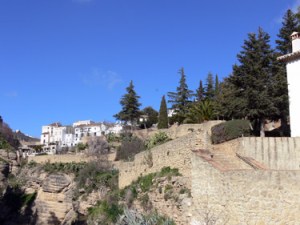 jardinesdecuenca jardinesdecuenca